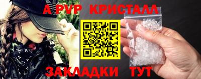 твердый Гусев