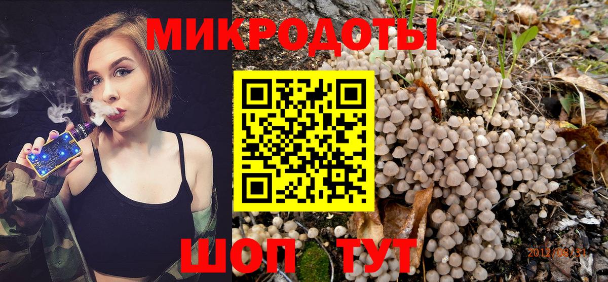 Галлюциногенные грибы Cubensis Майкоп